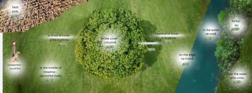 international field trial (7)